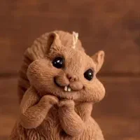 دکوری و شمع های فانتزی