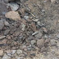 کود گوسفندی(پهین)