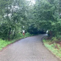 1276 متر زمین مسکونی بر جاده