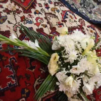 گل طبیعی مجلسی سالم|گل و گیاه طبیعی|تبریز, |دیوار