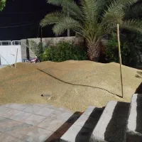 جو دو پهلو تروپ