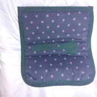 کالسکه چیکو ایتالیا