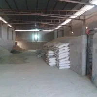 طهر دامداری ۲۰۰۰راس گوسفند.مجوز ۷۰۰۰متر گلخانه