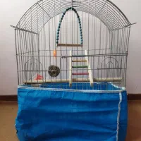 قفس عروس هلندی