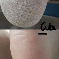 تخصصی ترین کفسابی باهلیا|خدمات آرایشگری و زیبایی|کرمان, |دیوار