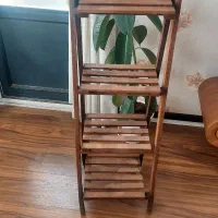 استند گل و گیاه