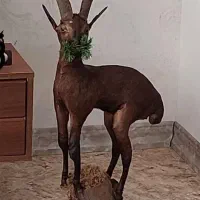 وسایل فروشی