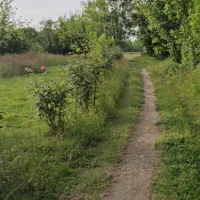 یک هکتار  ملک روستایی  همراه با بنا لاهیجان