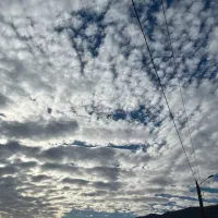 زمین ۲۳۰ متری فروش فوری لپوئی