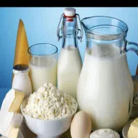 نیرو برای همکاری