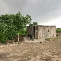 باغ انگور|فروش دفتر صنعتی، کشاورزی، تجاری|خرمدشت, |دیوار