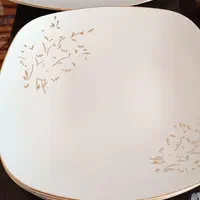 دیس چهارگوش بزرگ وبرنج خوری