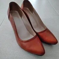 کفش مجلسی