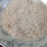 برنج علی کاظمی