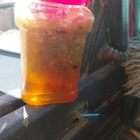 فروش عسل راکو اصل