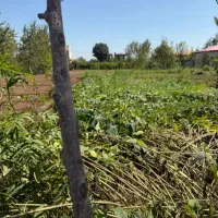 فروش زمین ۴۵۰۰ متری در پیله داربن|فروش زمین و ملک کلنگی|رشت, پیله داربن|دیوار