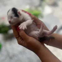 با حیوانات مهربان باشیم ...