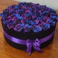 ربانی تخفیف