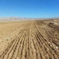 زمین کشاورزی دیم سمیرم