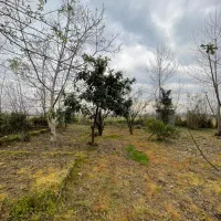 ویلا/کلنگی/بازسازی/۱۰۰۰متری/پلاک بندی کوچصفهان|فروش خانه و ویلا|لولمان, |دیوار