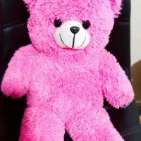 خرس ۶۰سانتی مستقیم از تولید کننده