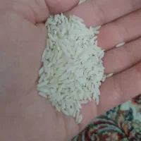 برنج هاشمی
