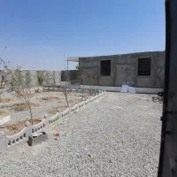 باغچه|فروش زمین و ملک کلنگی|رباط‌کریم, پیغمبر|دیوار