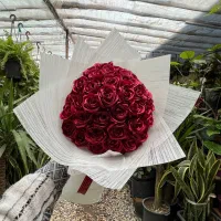 گل ربانی با هر رنگ و تعداد