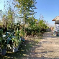 خونه روستایی|فروش خانه و ویلا|کوچصفهان, |دیوار