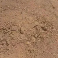 کود حیوانی.پودری خشک تلیسه