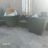 گلدان بزرگ سالم ۲ عدد