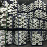 استخدام نیروی تاسیسات شیفت شب