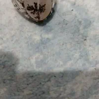 انگشتر نقره شجر