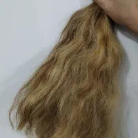 فروش موی طبیعی