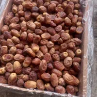 خرمای زاهدی|خوردنی و آشامیدنی|شیراز, خلدبرین|دیوار