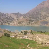 ۳۵تا بز معاوضه با میش