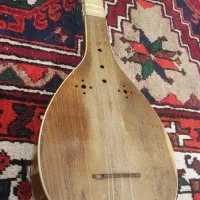 سه تار حرفه ای آقای داوود حسنی