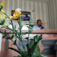 جابجایی اثاث منزل با شرکت خدماتی اطمینان|خدمات حمل و نقل|ازنا, |دیوار