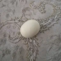 سنگ اسیاب