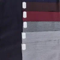 فیونا کاماش