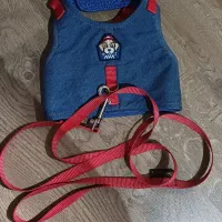 لوازم های  سگ در حد نو نو|لوازم جانبی حیوانات|تهران, مولوی|دیوار