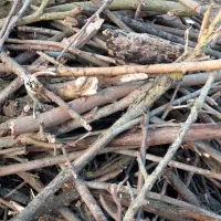 ضایعات چوب|خدمات پیشه و مهارت|رودبنه, |دیوار