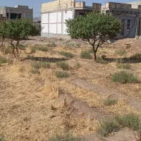 زمین 160متری شمالی|فروش زمین و ملک کلنگی|نجفآباد, طالقانی|دیوار