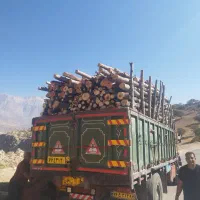 خریدار چوب|خدمات باغبانی و درختکاری|یاسوج, |دیوار