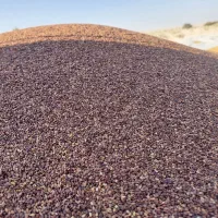 کنجد امسال دو تن نیم