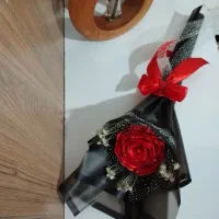 گل رز|گل مصنوعی|نورآباد, |دیوار