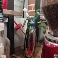 گل خامه زن حرفه ای برند mosa تایوان نواستفاده نشده