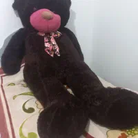 خرس ولنتاین