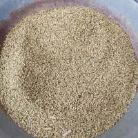 فروش 4تن گشنیز کمباینی