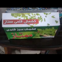 کشمش سبز باغات.